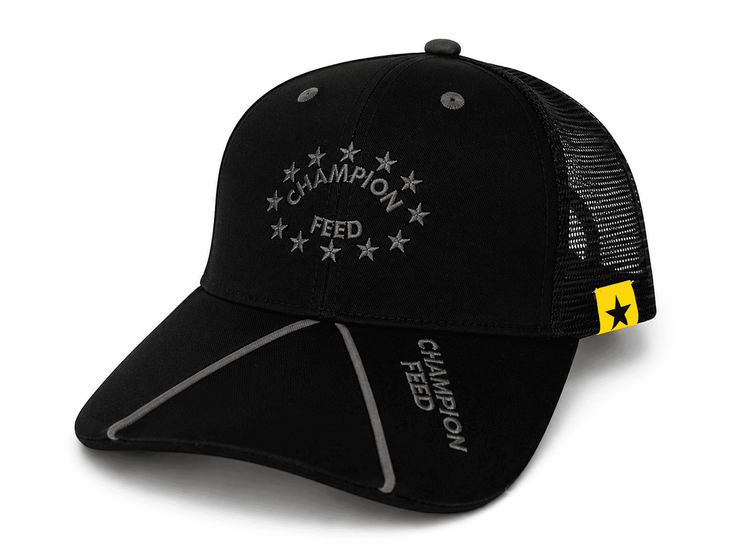 CASQUETTE CAP WINNER CHAMPION FEED - GRIS / NOIR