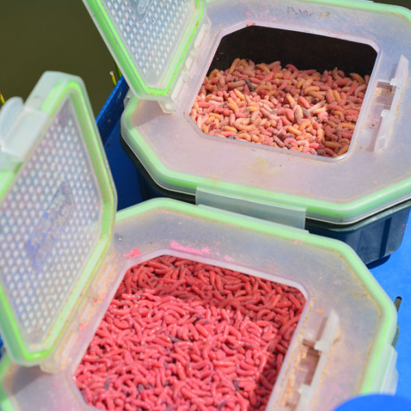 50 Asticots Artificiels Rouges Flottants (pop-up) - Appât Souple Pour La Pêche à La Carpe Et Poissons Blancs