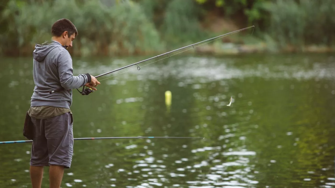 Toute l’actualité d’Open Pêche