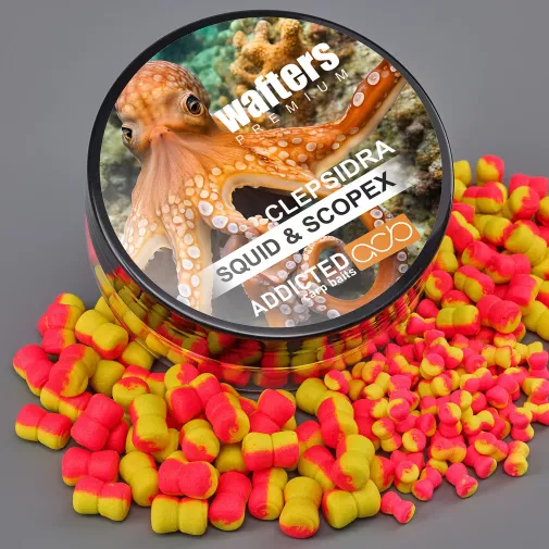 Sablier premium Wafters Squid &amp; Scopex Visuel