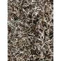 Chenevis Monstre 500 g Visuel 2
