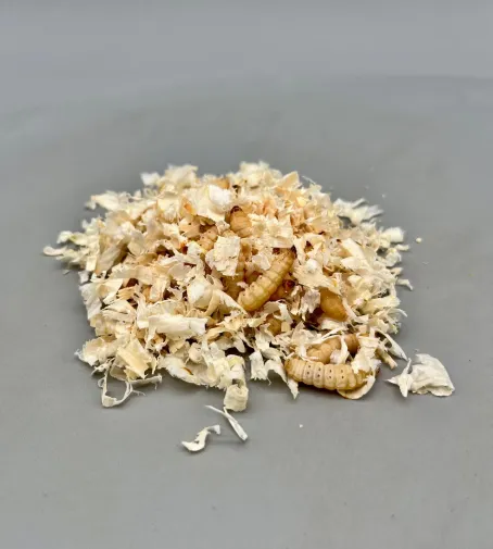 Teignes de ruche 20 grs Visuel