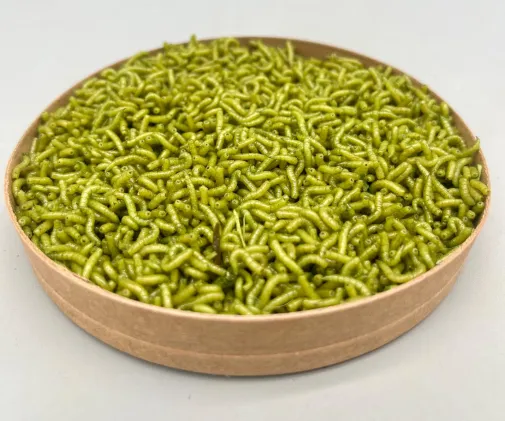 Fifies Vert Visuel