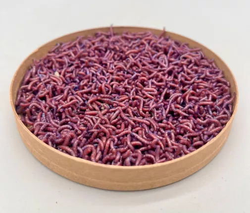 Fifies Violet Visuel