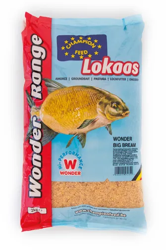 WONDER BIG BREAM Visuel