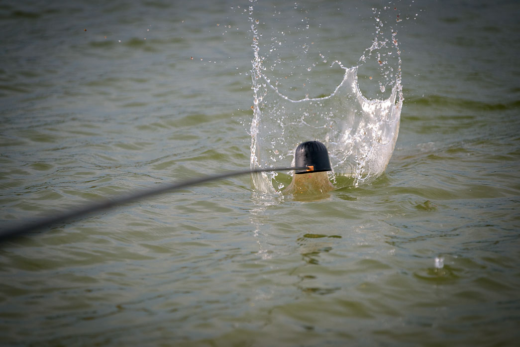 Visuel du concours: Challenge Randoing/Trichard