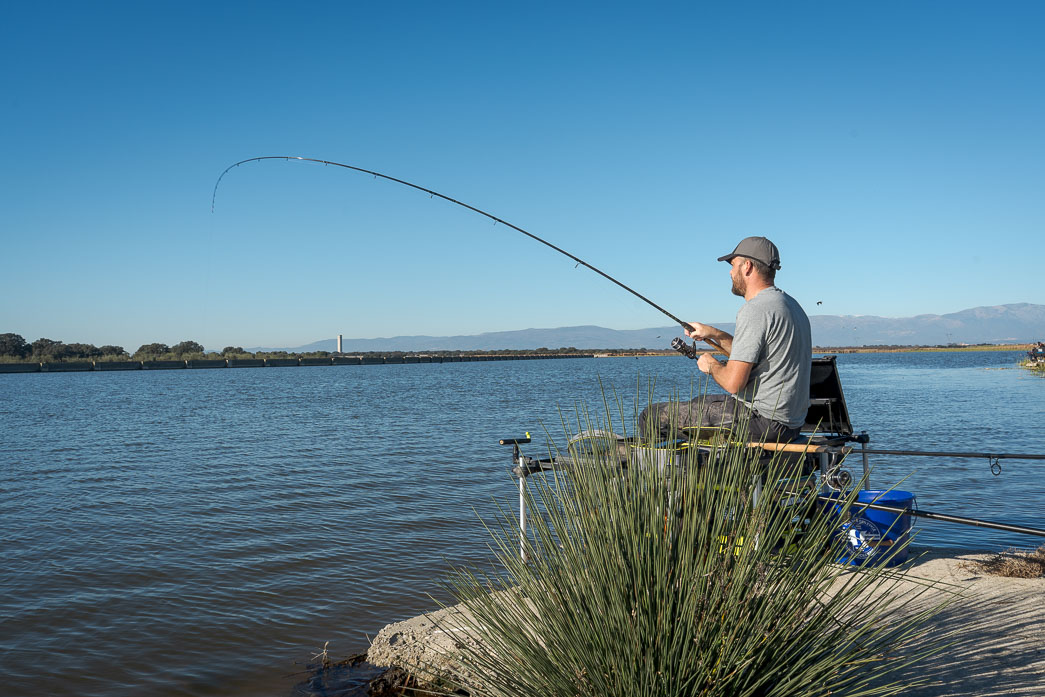 Visuel du concours: Feedertech Margon inscription voir l’affiche