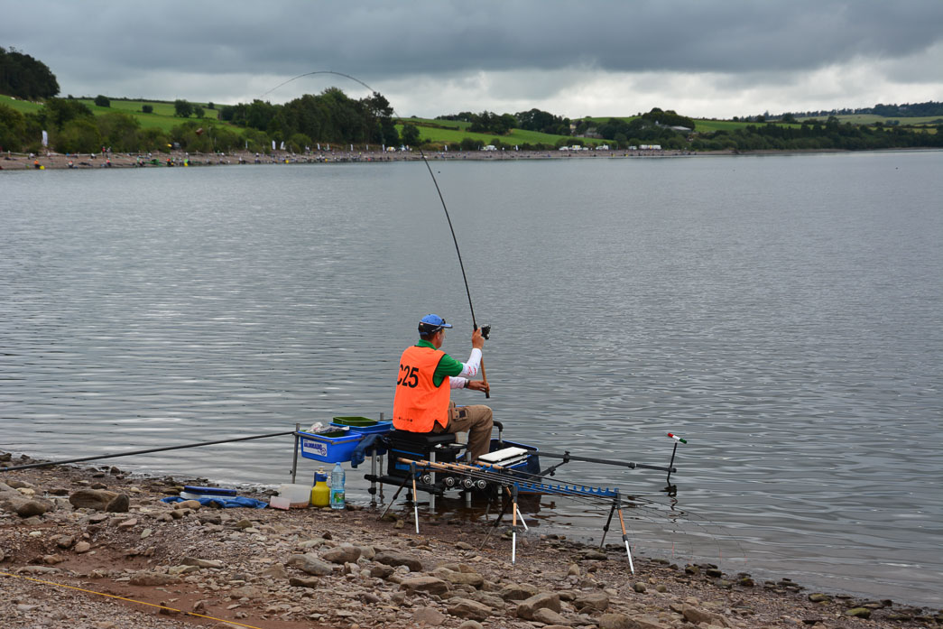 Visuel du concours: Concours méthod carpodrome de la prairie